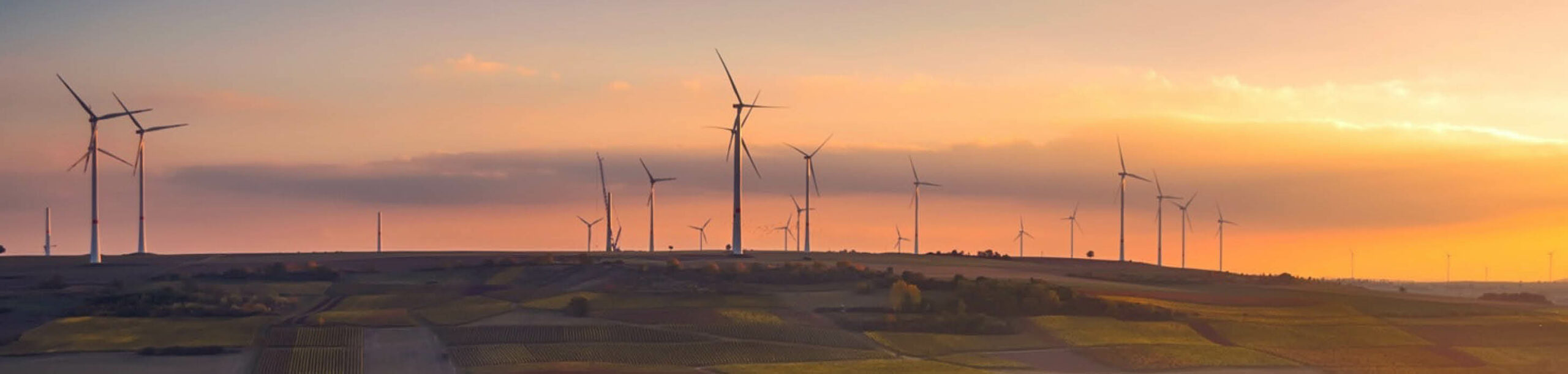 renewable business energy via wind farms